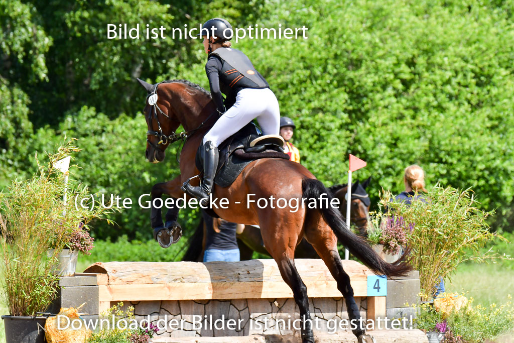 Goldene Schärpe Pferde  in Löningen  11+12.6.22 | 11062022 - Gelände 1 Abt_0795 