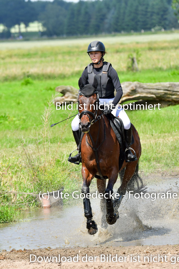 Goldene Schärpe Pferde  in Löningen  11+12.6.22 | 11062022 - Gelände 1 Abt_0797 