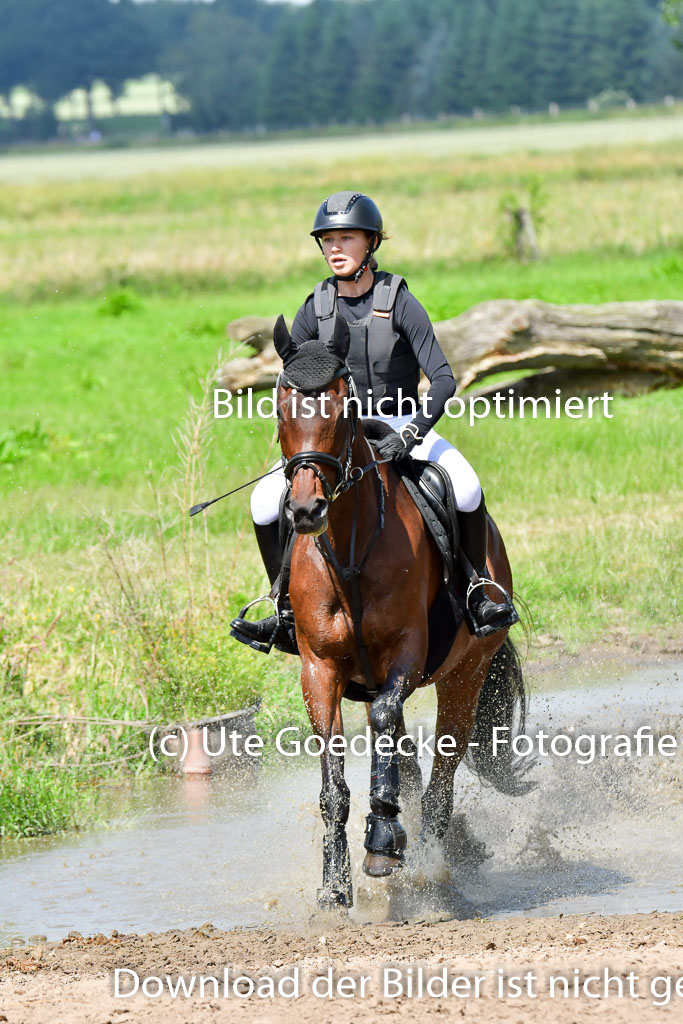 Goldene Schärpe Pferde  in Löningen  11+12.6.22 | 11062022 - Gelände 1 Abt_0798 