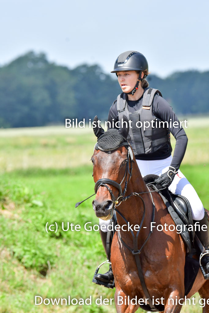 Goldene Schärpe Pferde  in Löningen  11+12.6.22 | 11062022 - Gelände 1 Abt_0799 