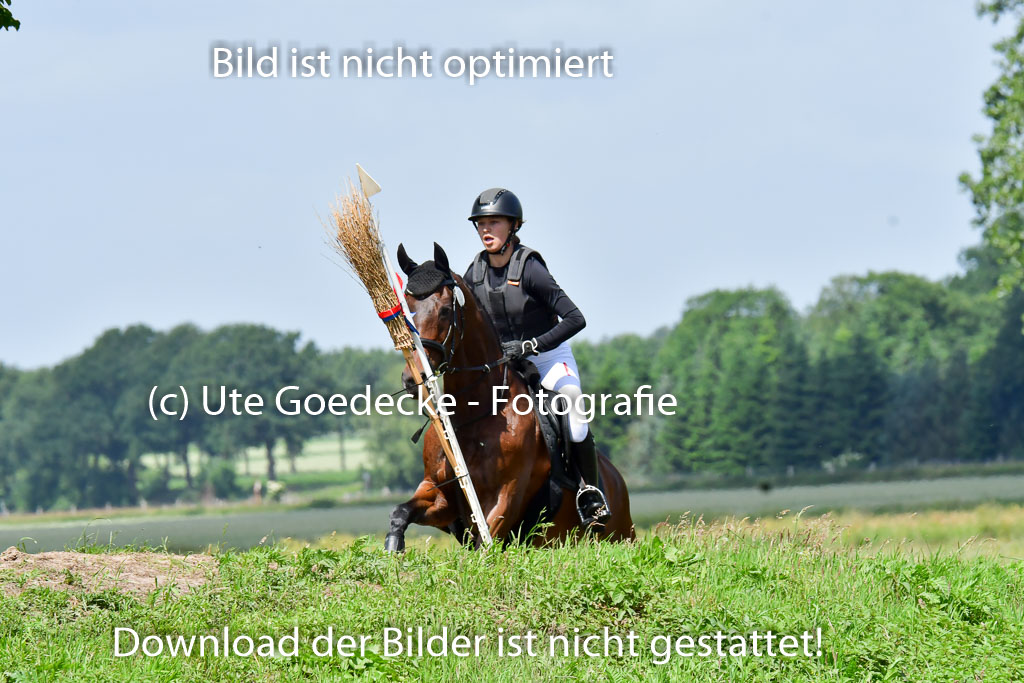 Goldene Schärpe Pferde  in Löningen  11+12.6.22 | 11062022 - Gelände 1 Abt_0802 