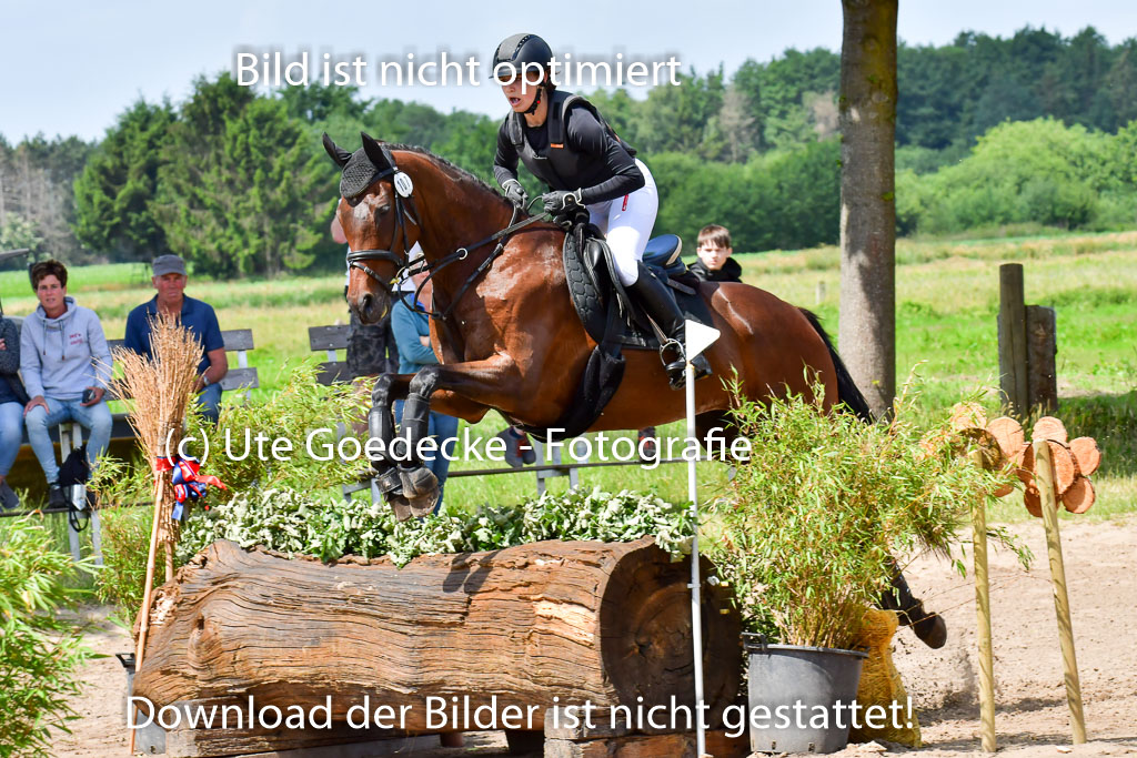 Goldene Schärpe Pferde  in Löningen  11+12.6.22 | 11062022 - Gelände 1 Abt_0805 