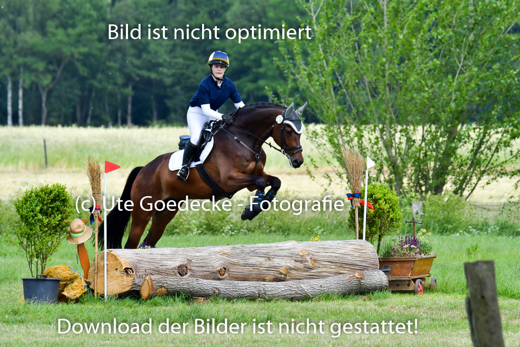 Goldene Schärpe Pferde  in Löningen  11+12.6.22 | 11062022 - Gelände 1 Abt_0809
