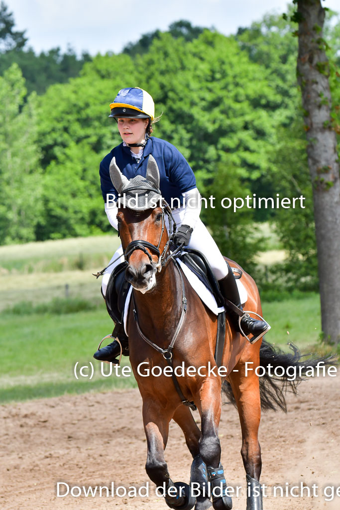 Goldene Schärpe Pferde  in Löningen  11+12.6.22 | 11062022 - Gelände 1 Abt_0812 