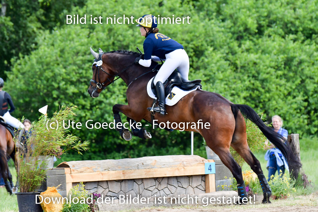 Goldene Schärpe Pferde  in Löningen  11+12.6.22 | 11062022 - Gelände 1 Abt_0815 