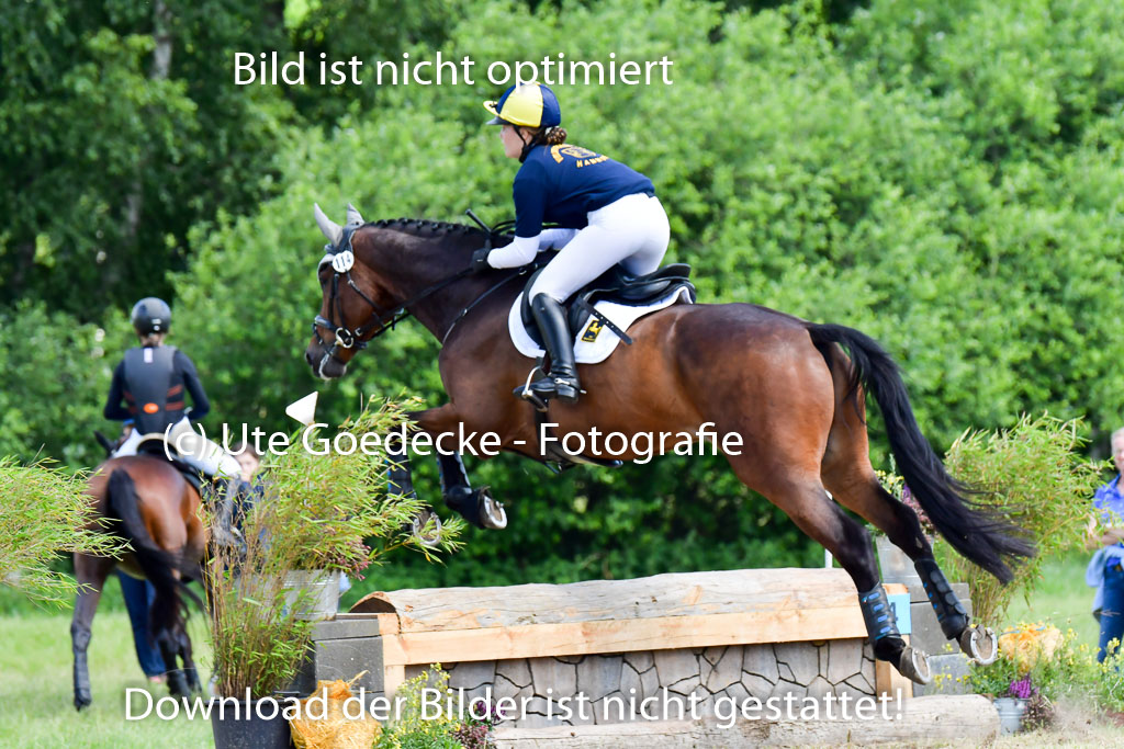 Goldene Schärpe Pferde  in Löningen  11+12.6.22 | 11062022 - Gelände 1 Abt_0816 