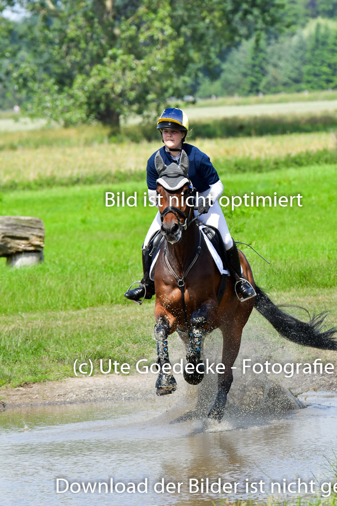 Goldene Schärpe Pferde  in Löningen  11+12.6.22 | 11062022 - Gelände 1 Abt_0817 