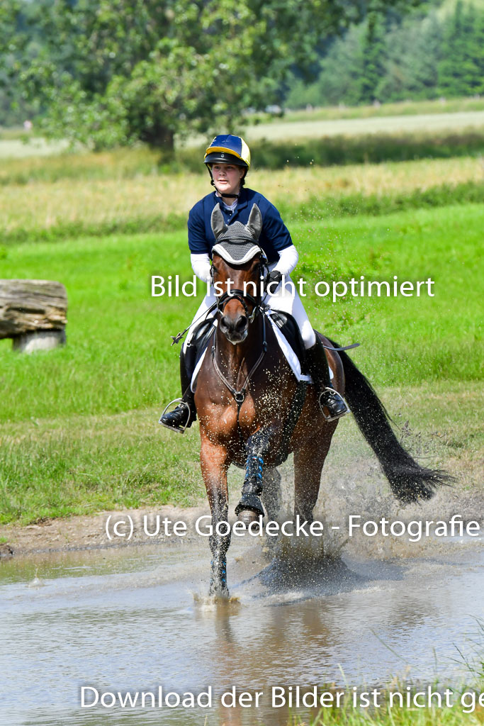 Goldene Schärpe Pferde  in Löningen  11+12.6.22 | 11062022 - Gelände 1 Abt_0818 