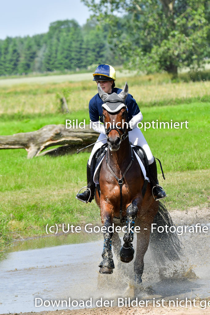 Goldene Schärpe Pferde  in Löningen  11+12.6.22 | 11062022 - Gelände 1 Abt_0821 