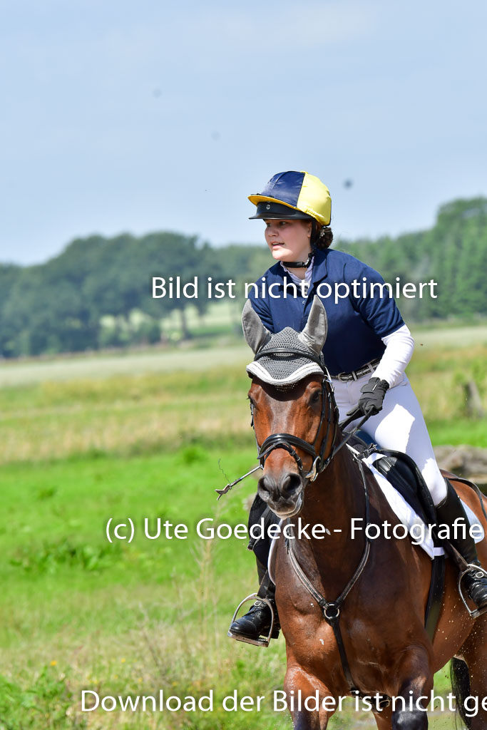 Goldene Schärpe Pferde  in Löningen  11+12.6.22 | 11062022 - Gelände 1 Abt_0822 