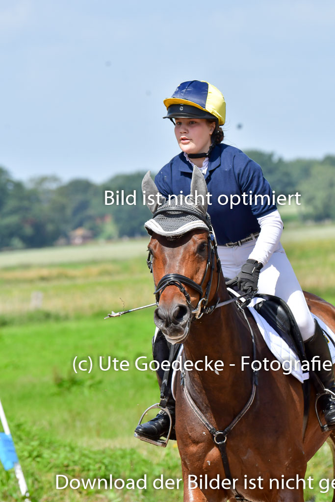 Goldene Schärpe Pferde  in Löningen  11+12.6.22 | 11062022 - Gelände 1 Abt_0823