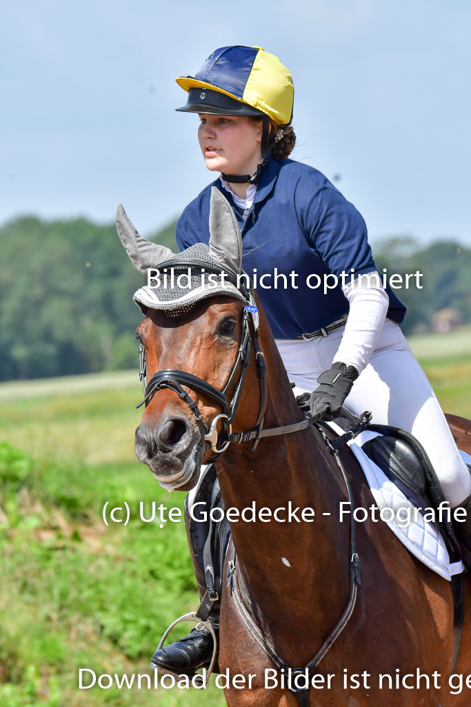 Goldene Schärpe Pferde  in Löningen  11+12.6.22 | 11062022 - Gelände 1 Abt_0824 