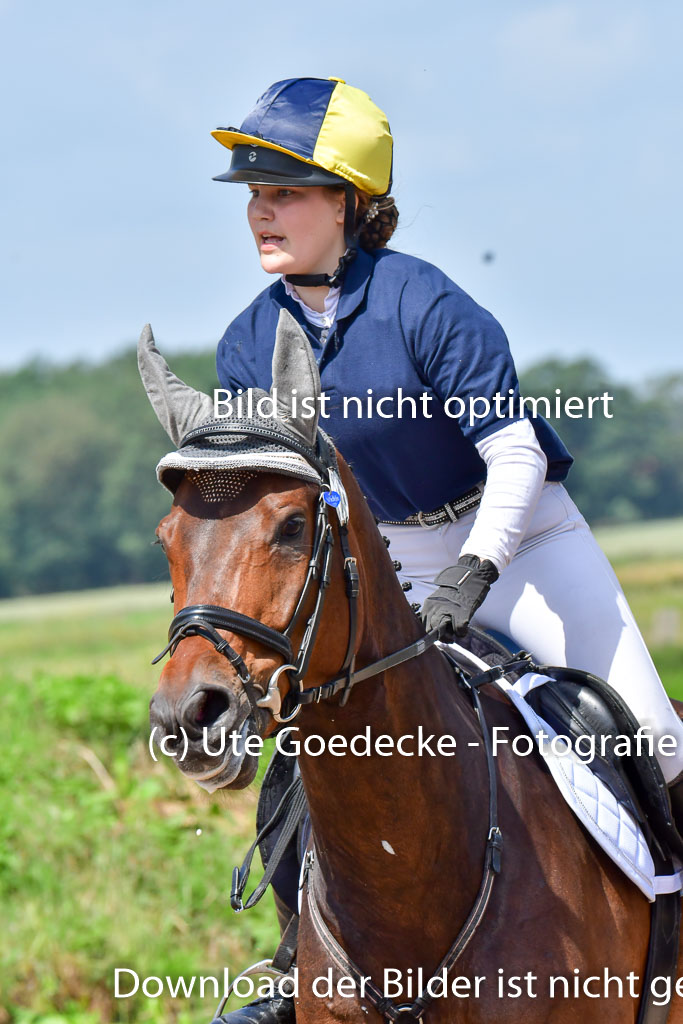 Goldene Schärpe Pferde  in Löningen  11+12.6.22 | 11062022 - Gelände 1 Abt_0825 
