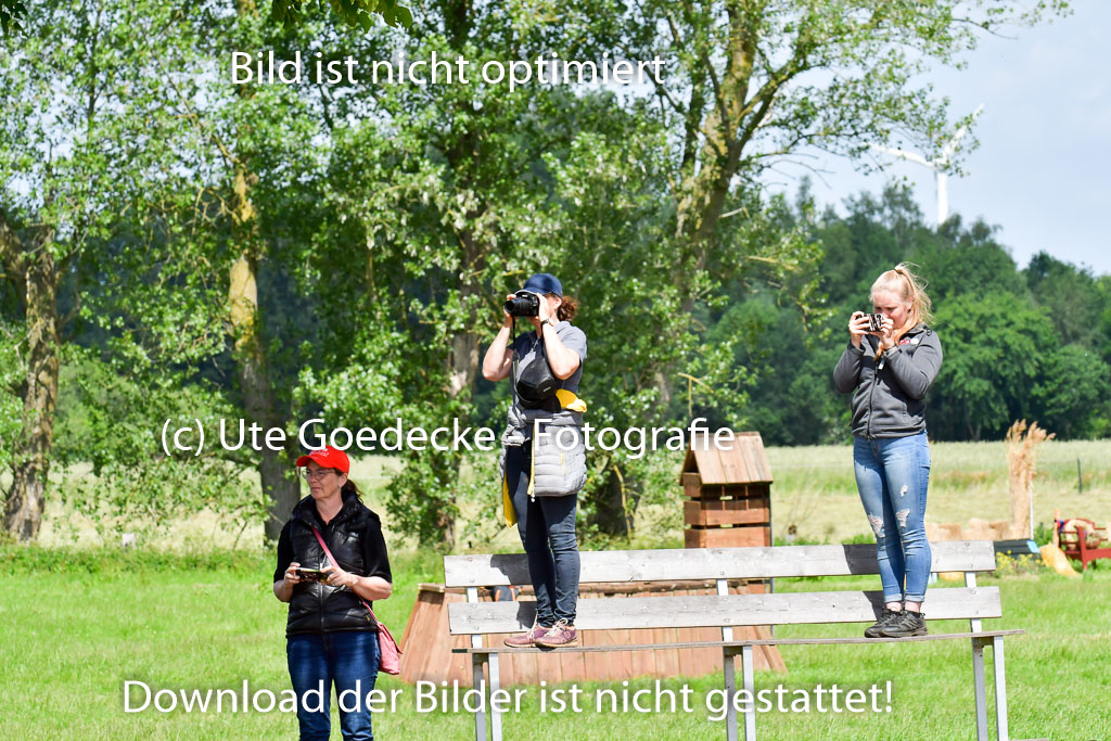 Goldene Schärpe Pferde  in Löningen  11+12.6.22 | 11062022 - Gelände 1 Abt_0828 