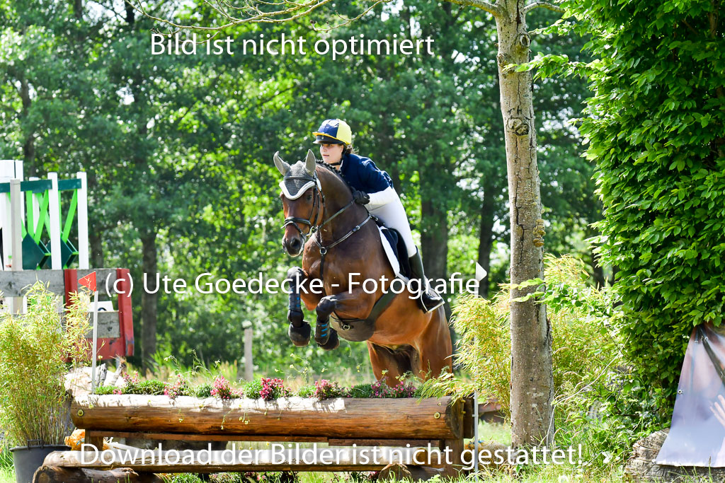 Goldene Schärpe Pferde  in Löningen  11+12.6.22 | 11062022 - Gelände 1 Abt_0829 