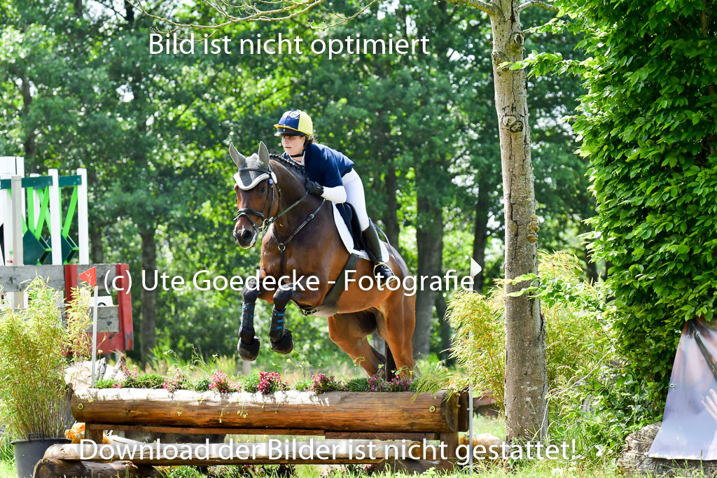 Goldene Schärpe Pferde  in Löningen  11+12.6.22 | 11062022 - Gelände 1 Abt_0830 