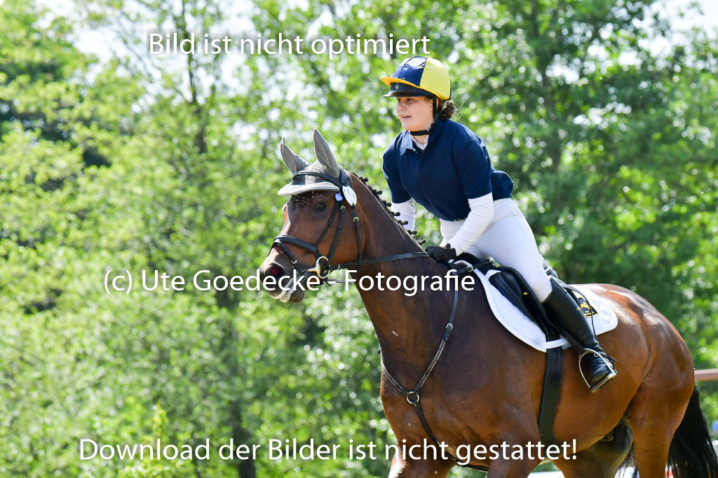 Goldene Schärpe Pferde  in Löningen  11+12.6.22 | 11062022 - Gelände 1 Abt_0831 