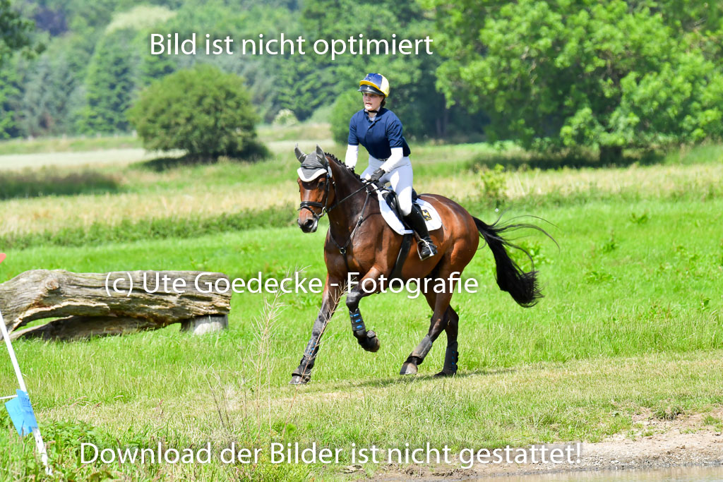 Goldene Schärpe Pferde  in Löningen  11+12.6.22 | 11062022 - Gelände 1 Abt_0832 