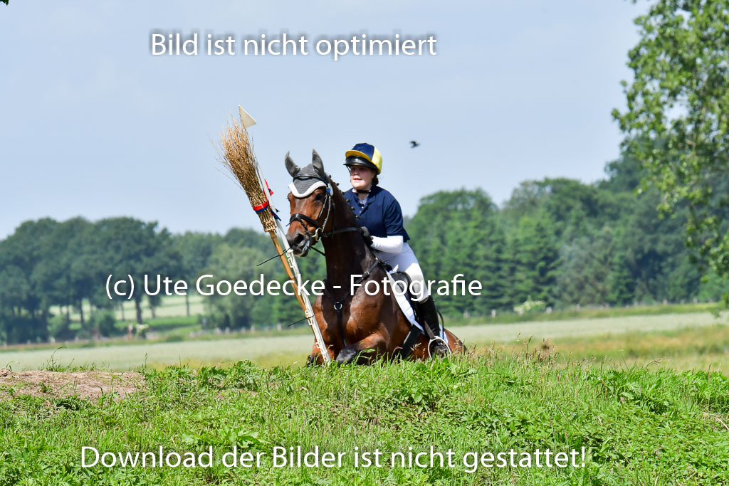 Goldene Schärpe Pferde  in Löningen  11+12.6.22 | 11062022 - Gelände 1 Abt_0833 