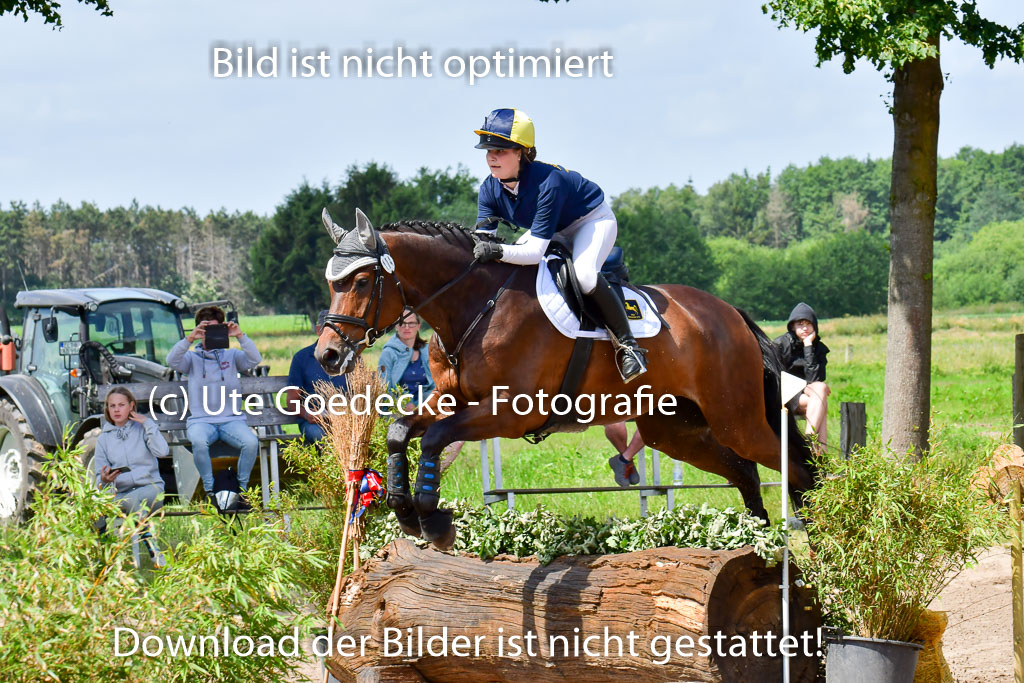 Goldene Schärpe Pferde  in Löningen  11+12.6.22 | 11062022 - Gelände 1 Abt_0837 