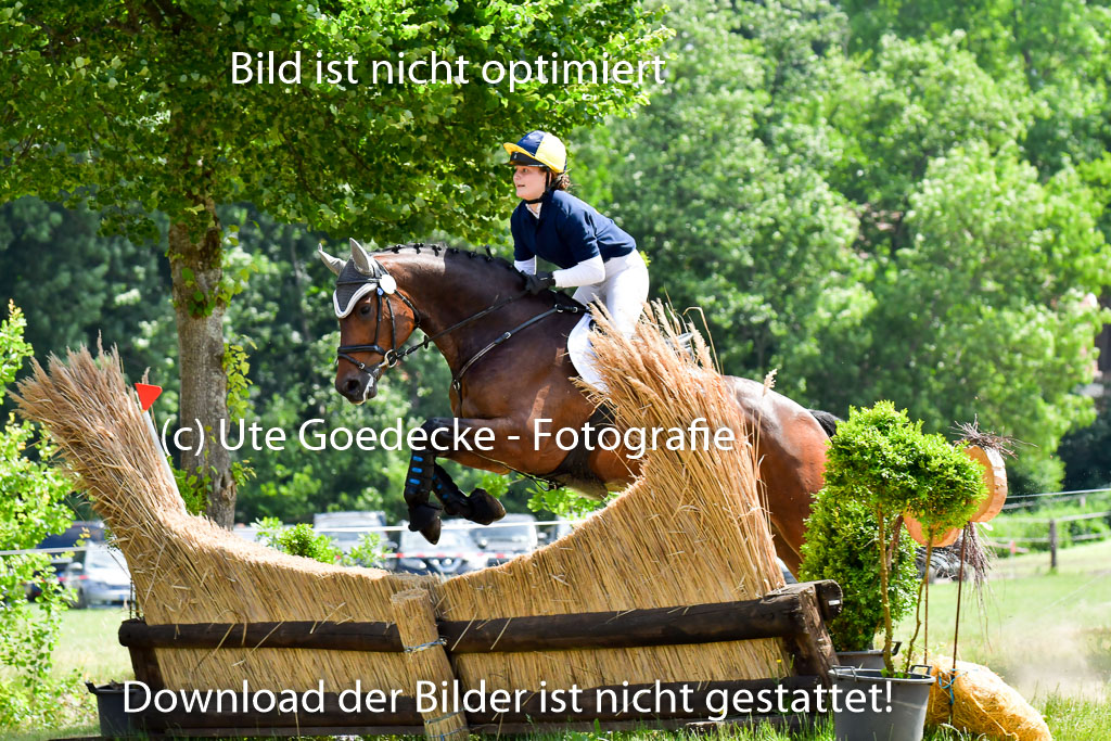 Goldene Schärpe Pferde  in Löningen  11+12.6.22 | 11062022 - Gelände 1 Abt_0838 