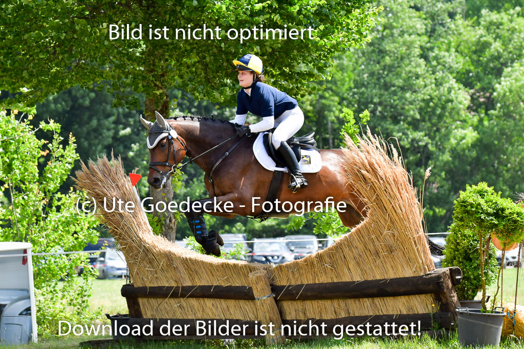 Goldene Schärpe Pferde  in Löningen  11+12.6.22 | 11062022 - Gelände 1 Abt_0839 
