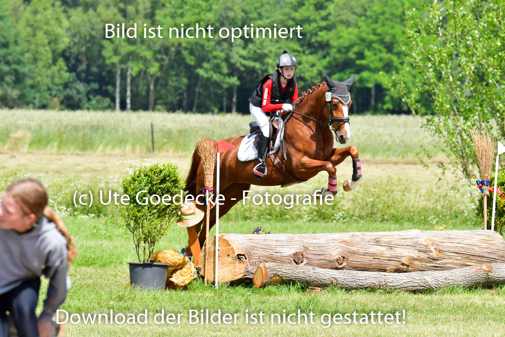 Goldene Schärpe Pferde  in Löningen  11+12.6.22 | 11062022 - Gelände 1 Abt_0842 