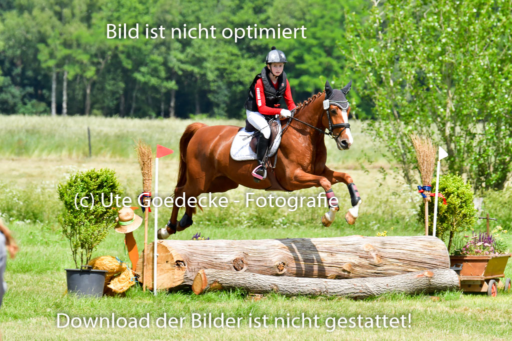 Goldene Schärpe Pferde  in Löningen  11+12.6.22 | 11062022 - Gelände 1 Abt_0843 