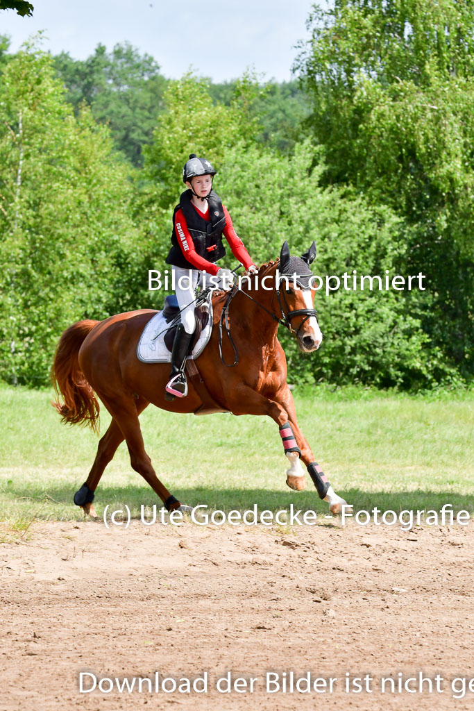 Goldene Schärpe Pferde  in Löningen  11+12.6.22 | 11062022 - Gelände 1 Abt_0844 