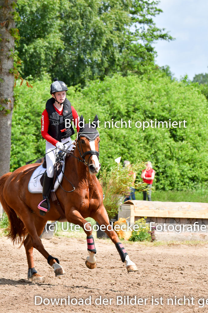 Goldene Schärpe Pferde  in Löningen  11+12.6.22 | 11062022 - Gelände 1 Abt_0845 