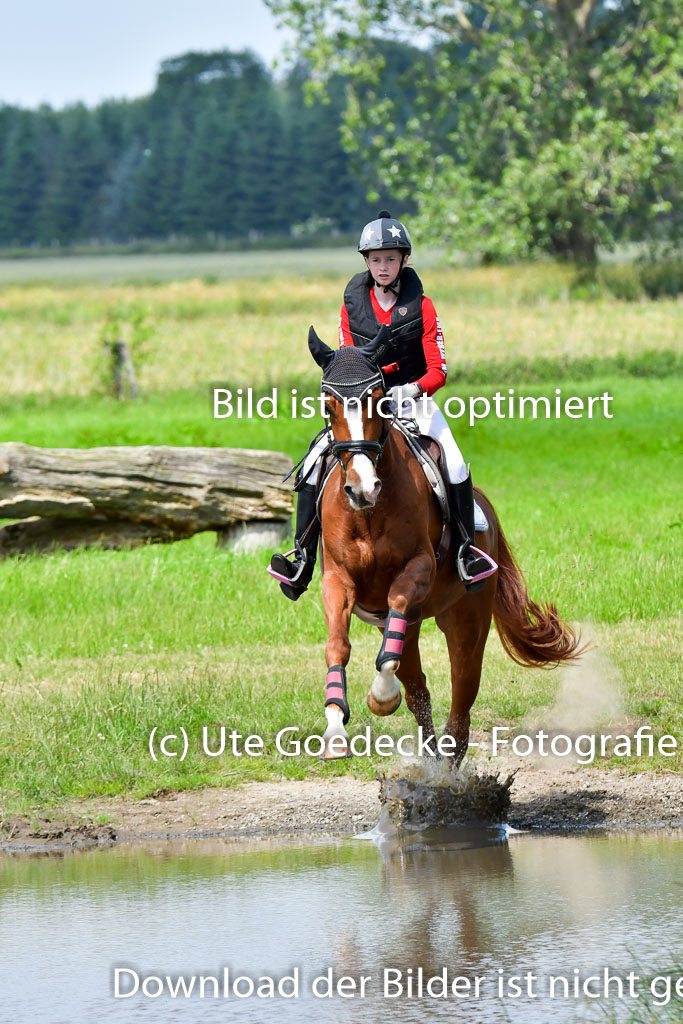 Goldene Schärpe Pferde  in Löningen  11+12.6.22 | 11062022 - Gelände 1 Abt_0848 