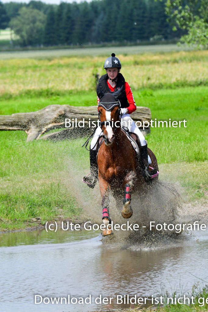 Goldene Schärpe Pferde  in Löningen  11+12.6.22 | 11062022 - Gelände 1 Abt_0851 