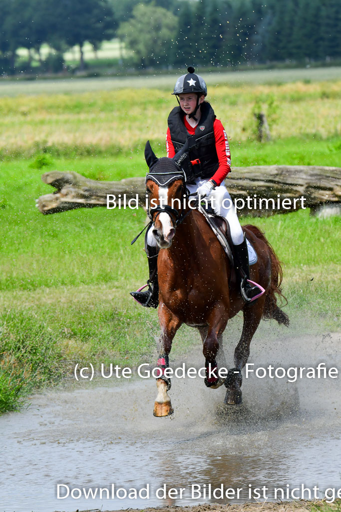 Goldene Schärpe Pferde  in Löningen  11+12.6.22 | 11062022 - Gelände 1 Abt_0853 