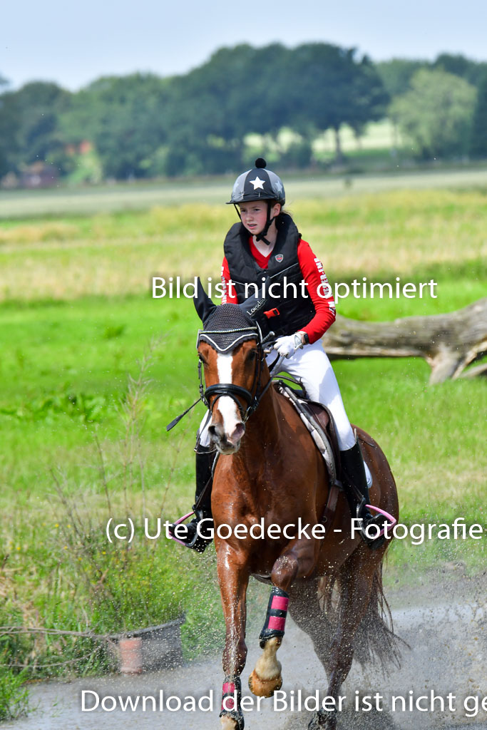 Goldene Schärpe Pferde  in Löningen  11+12.6.22 | 11062022 - Gelände 1 Abt_0855 