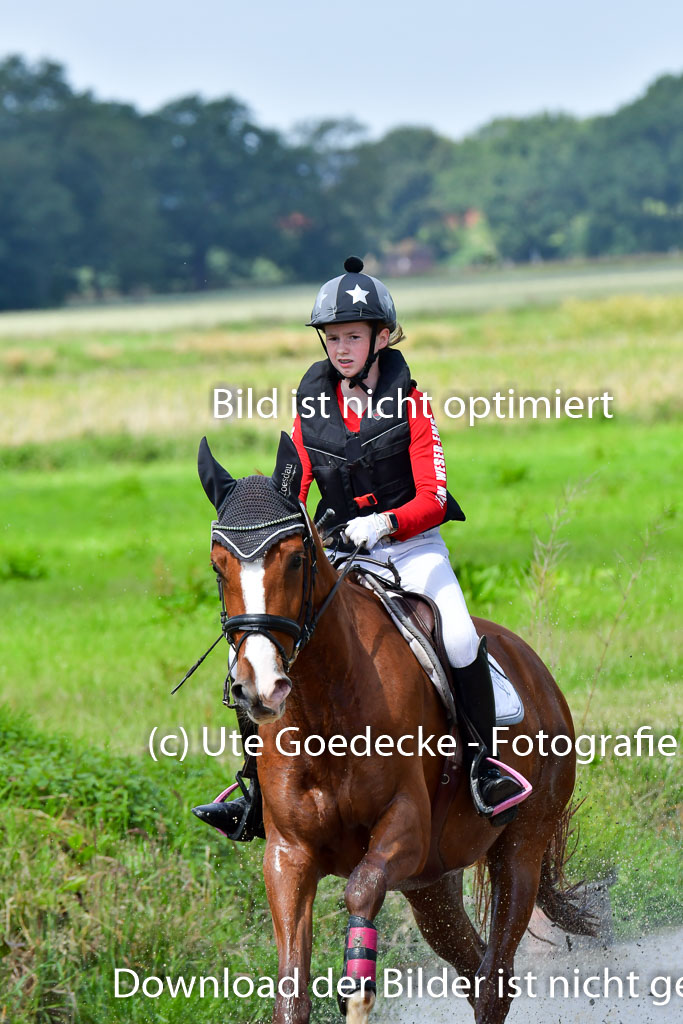 Goldene Schärpe Pferde  in Löningen  11+12.6.22 | 11062022 - Gelände 1 Abt_0856 