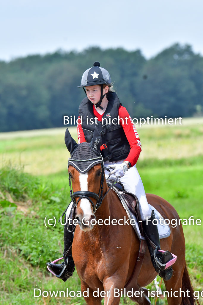 Goldene Schärpe Pferde  in Löningen  11+12.6.22 | 11062022 - Gelände 1 Abt_0857 