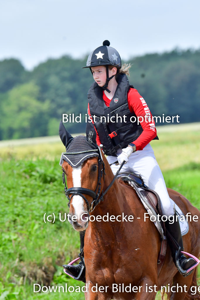 Goldene Schärpe Pferde  in Löningen  11+12.6.22 | 11062022 - Gelände 1 Abt_0858 