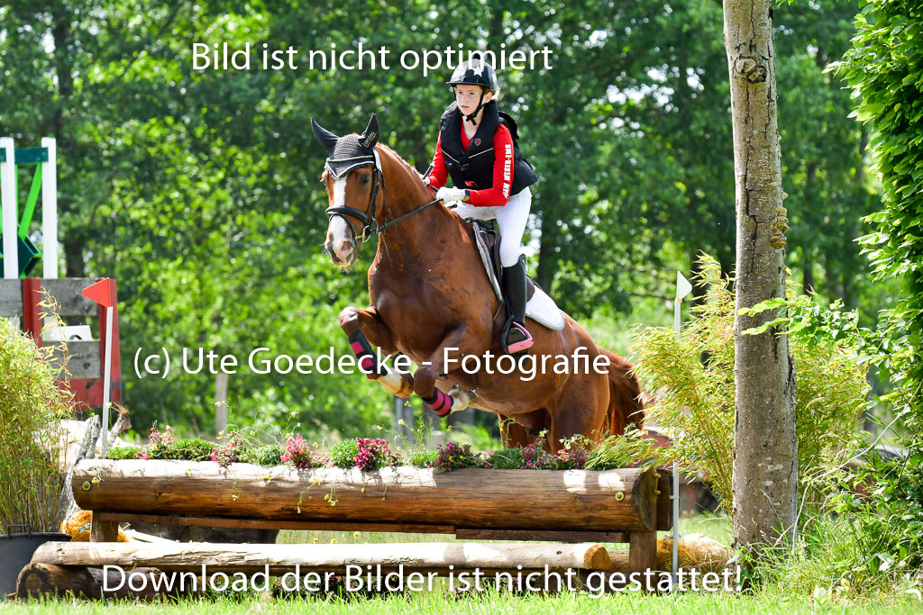 Goldene Schärpe Pferde  in Löningen  11+12.6.22 | 11062022 - Gelände 1 Abt_0859 