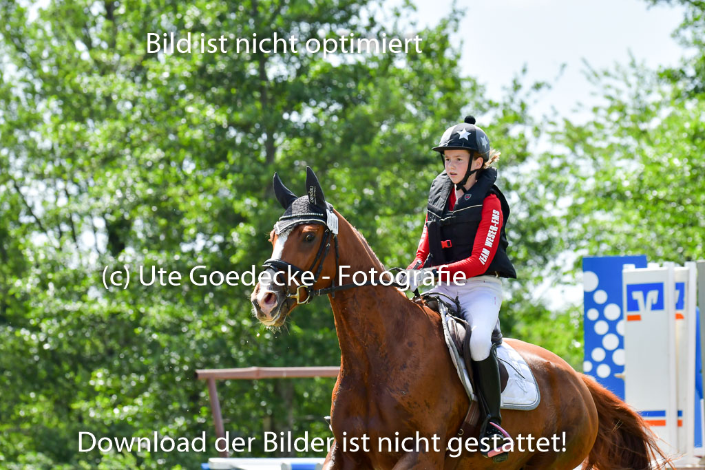 Goldene Schärpe Pferde  in Löningen  11+12.6.22 | 11062022 - Gelände 1 Abt_0861 