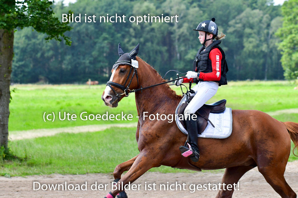 Goldene Schärpe Pferde  in Löningen  11+12.6.22 | 11062022 - Gelände 1 Abt_0865 
