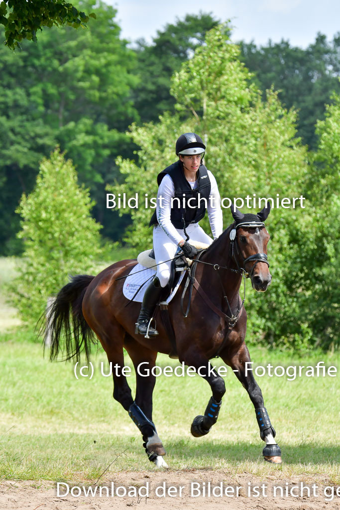 Goldene Schärpe Pferde  in Löningen  11+12.6.22 | 11062022 - Gelände 1 Abt_0870 