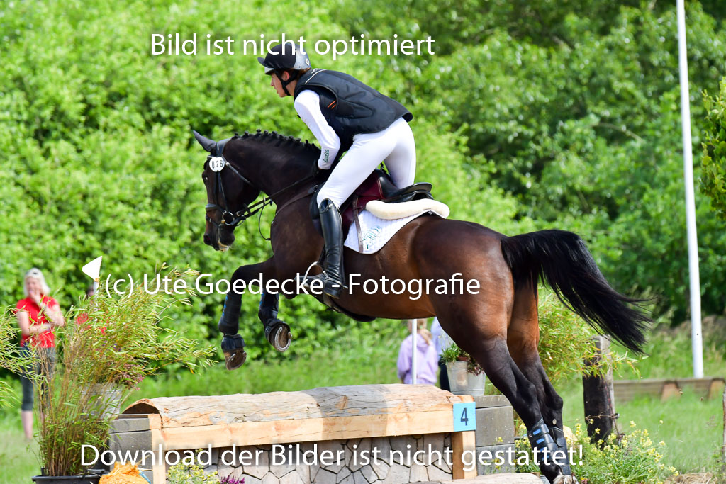Goldene Schärpe Pferde  in Löningen  11+12.6.22 | 11062022 - Gelände 1 Abt_0872