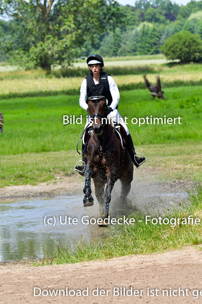 Goldene Schärpe Pferde  in Löningen  11+12.6.22 | 11062022 - Gelände 1 Abt_0874 
