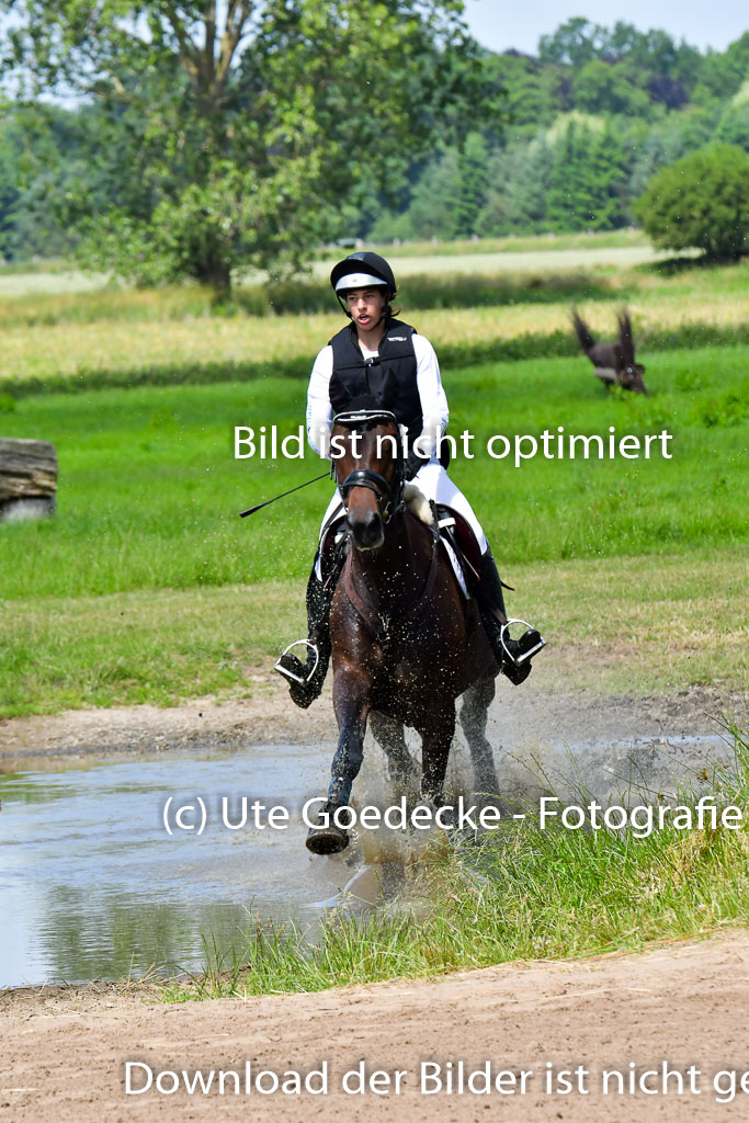 Goldene Schärpe Pferde  in Löningen  11+12.6.22 | 11062022 - Gelände 1 Abt_0875 