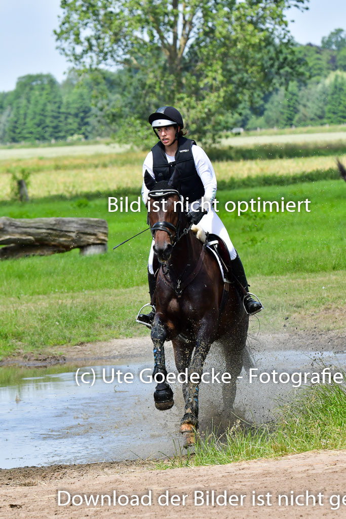 Goldene Schärpe Pferde  in Löningen  11+12.6.22 | 11062022 - Gelände 1 Abt_0876 