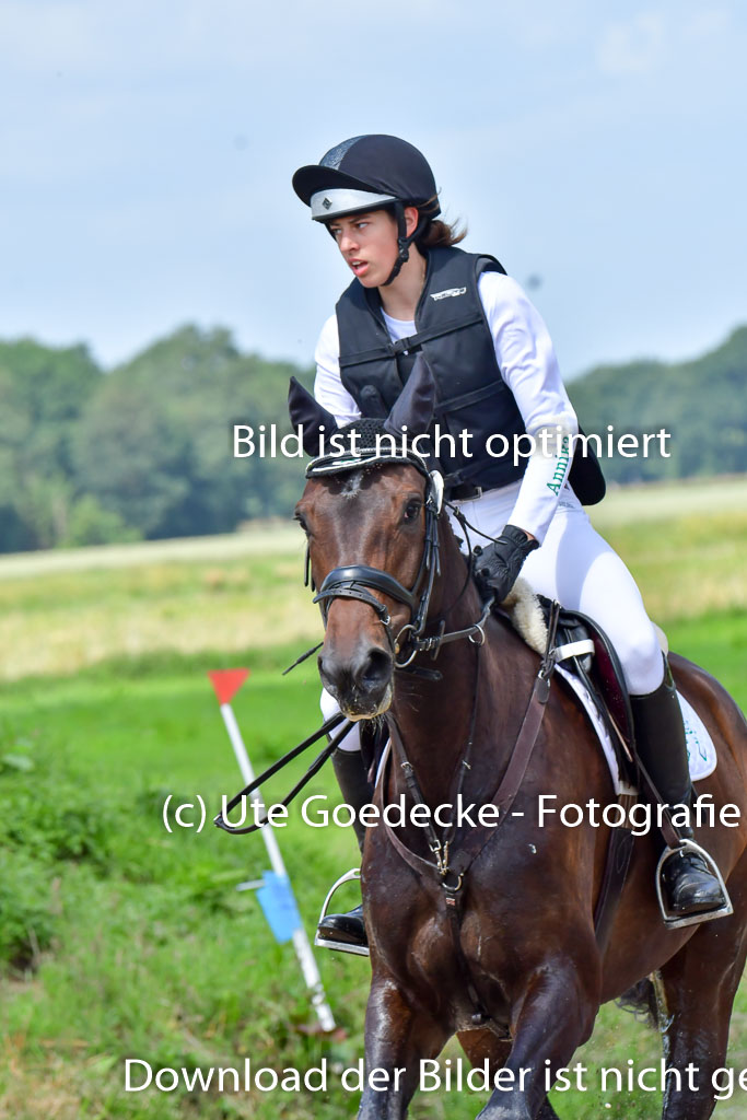 Goldene Schärpe Pferde  in Löningen  11+12.6.22 | 11062022 - Gelände 1 Abt_0878 