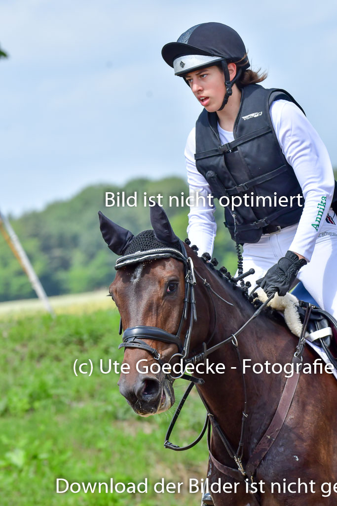 Goldene Schärpe Pferde  in Löningen  11+12.6.22 | 11062022 - Gelände 1 Abt_0879 