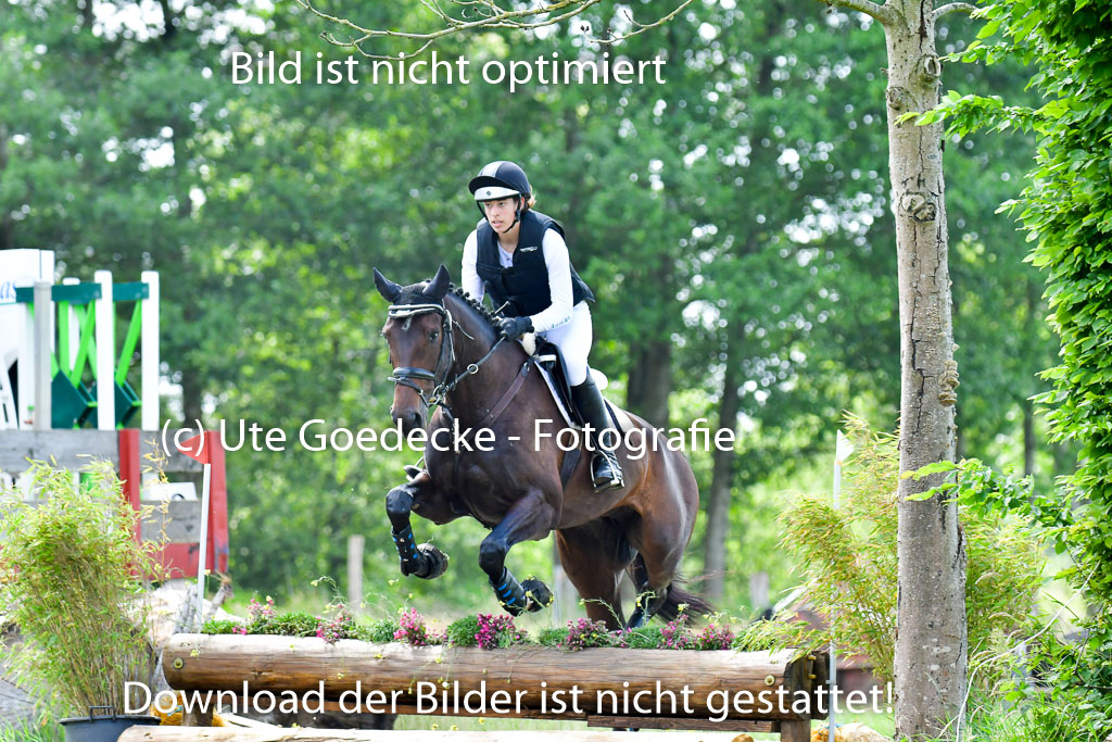 Goldene Schärpe Pferde  in Löningen  11+12.6.22 | 11062022 - Gelände 1 Abt_0880 