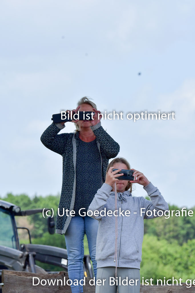 Goldene Schärpe Pferde  in Löningen  11+12.6.22 | 11062022 - Gelände 1 Abt_0881