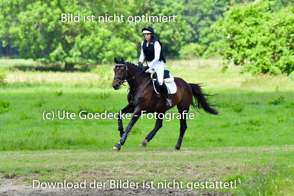 Goldene Schärpe Pferde  in Löningen  11+12.6.22 | 11062022 - Gelände 1 Abt_0882 